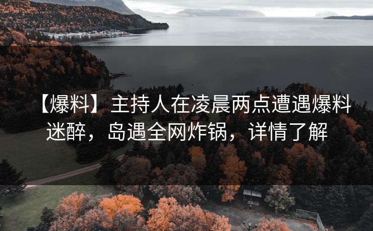 【爆料】主持人在凌晨两点遭遇爆料 迷醉，岛遇全网炸锅，详情了解
